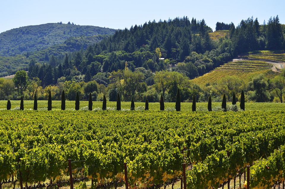 Val di Chiana: terra di storia e tradizioni