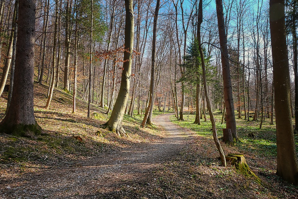 Il Casentino: storia, natura e sport