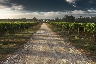 Il Chianti dei Colli Arentini