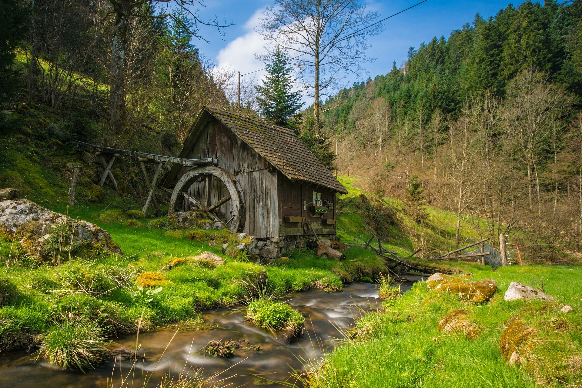 Parco Nazionale delle Foreste Casentinesi